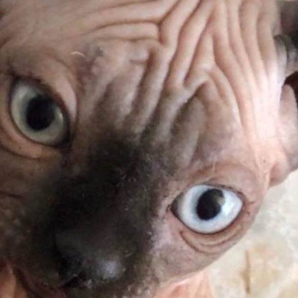 Meet your Posher, Kim - Picture 1 of 1